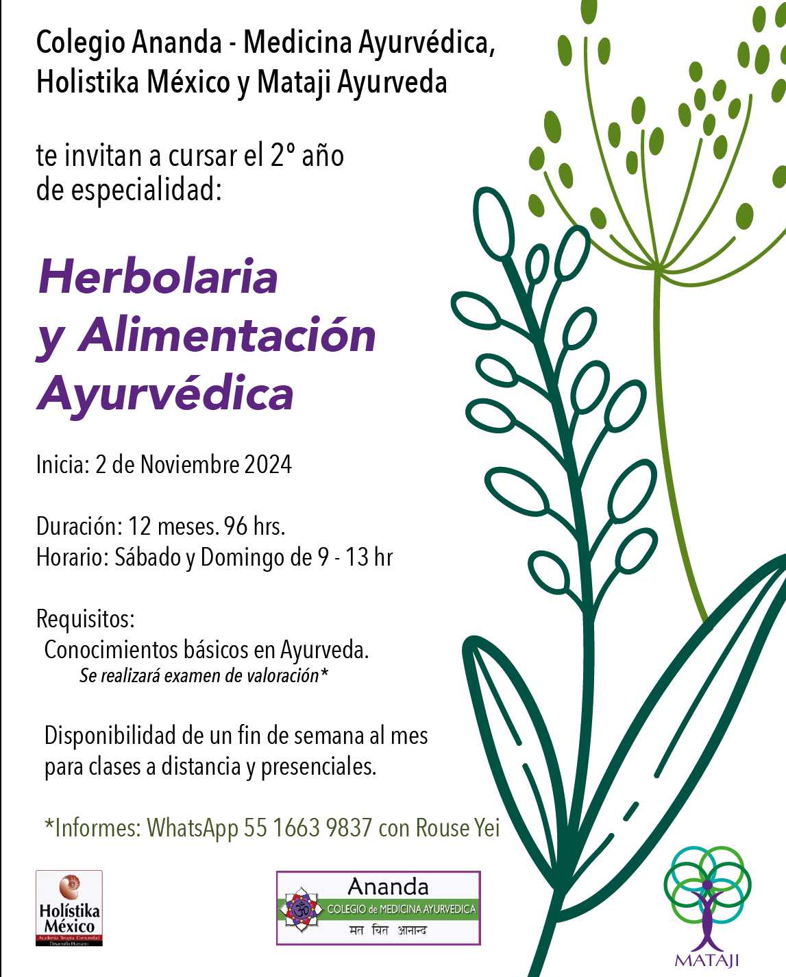 miniatura del curso