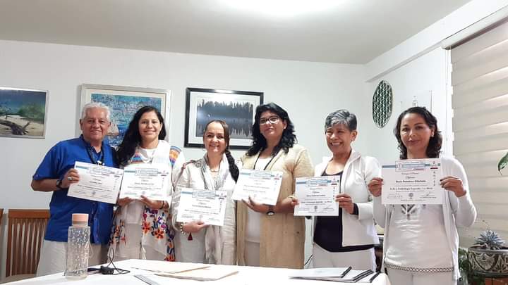 Academia Reiki Mikau Usui de Holistika México